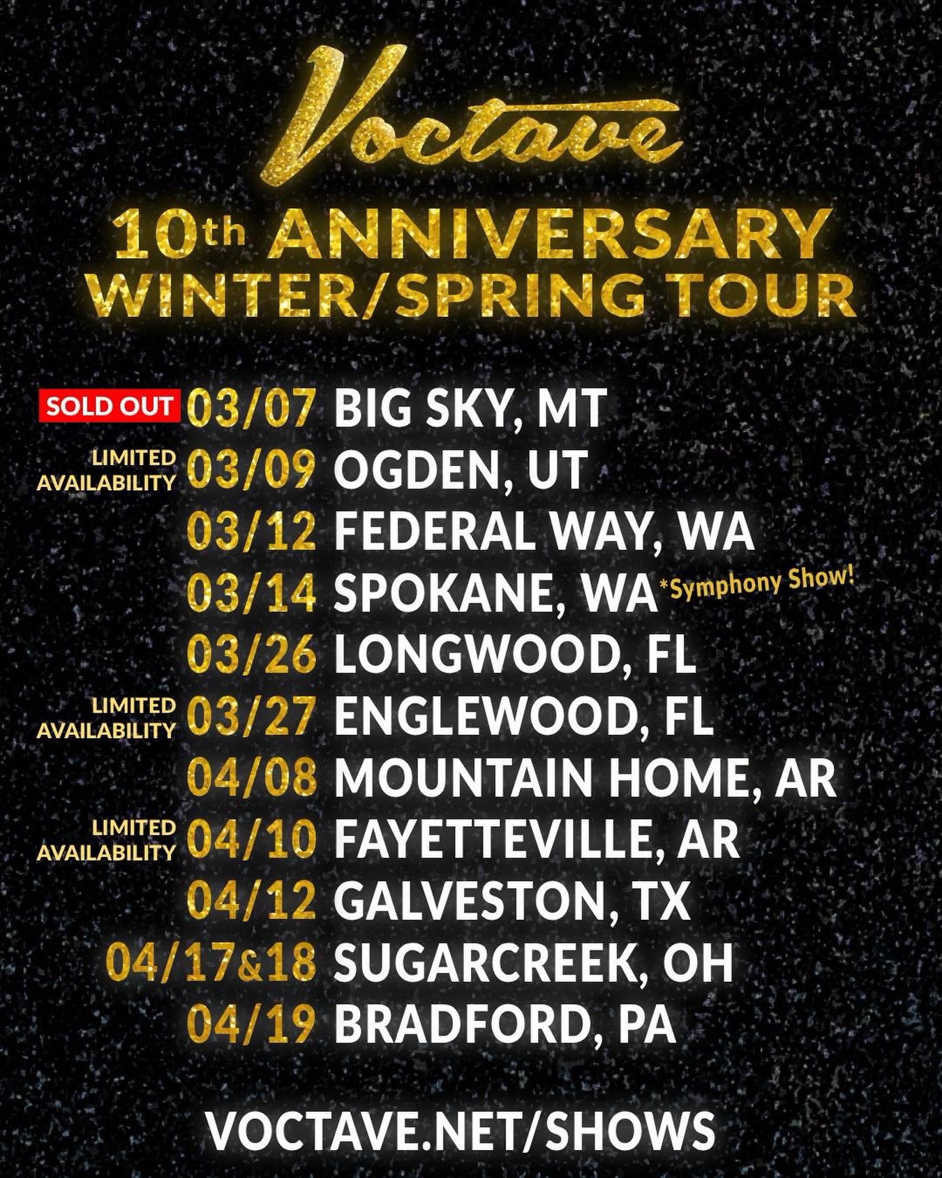 Voctave Tour Poster 2026